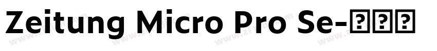 Zeitung Micro Pro Se字体转换